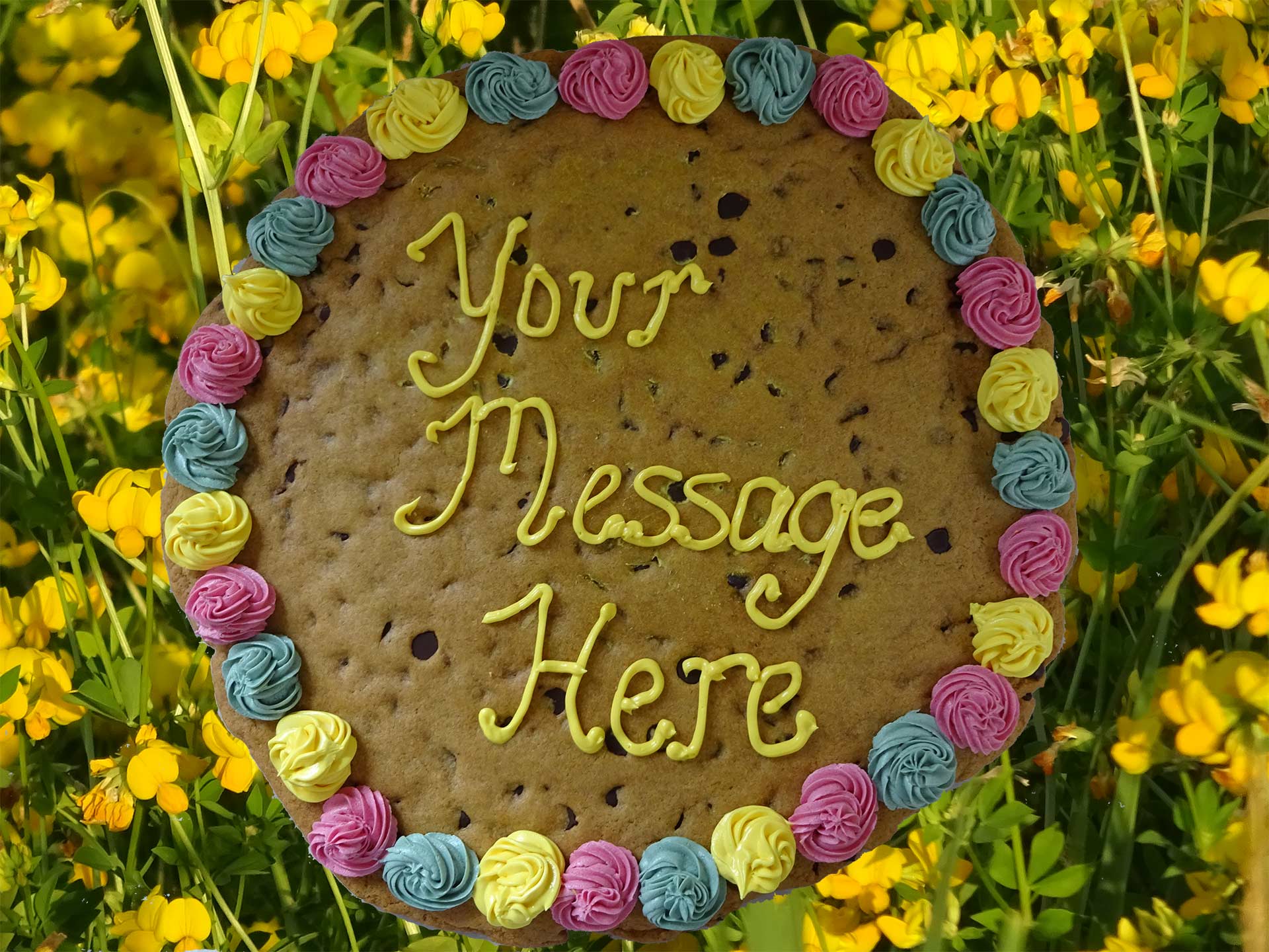 Giant Cookie Your Message Here